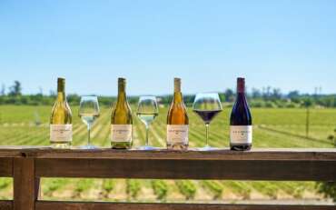 Castle Rock Winery Announces Strategic Transition to Martin Ray