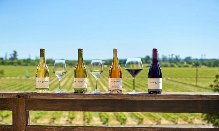 Castle Rock Winery Announces Strategic Transition to Martin Ray