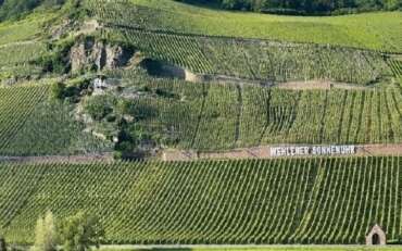 Germany’s Wehlener Sonnenuhr Recognized as One of the 10 Greatest Vineyards in the World