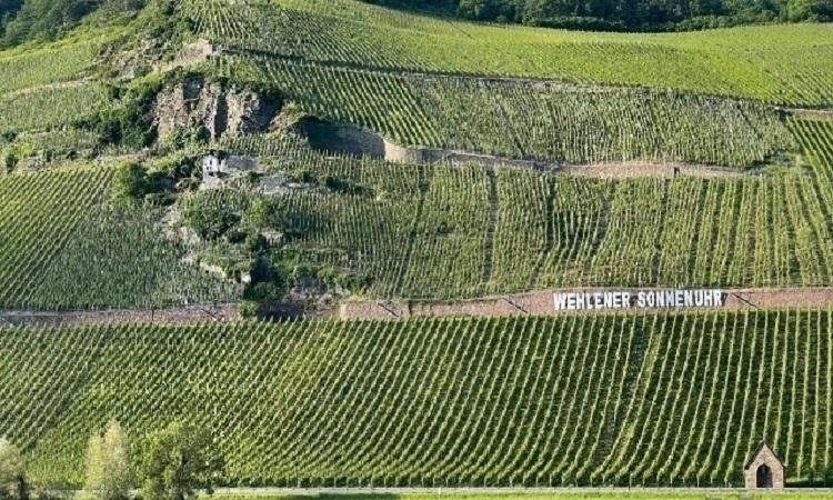 Germany’s Wehlener Sonnenuhr Recognized as One of the 10 Greatest Vineyards in the World